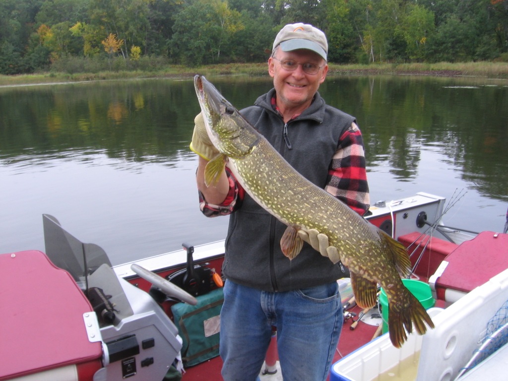 I caught and released this 36-inch northern pike on a spinner.  It ties the resort-record.