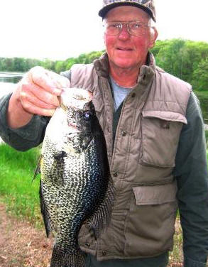 Bernie Z. with a trophy 16.25 inch, 2 pound crappie that he caught on a nearby lake, June 2, 2008.