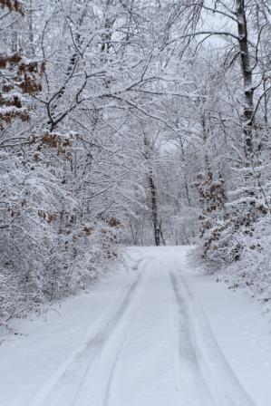 We had beautiful snow on December 28, 2018.