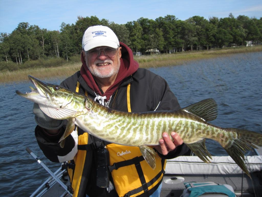 Dave R. with a 33-inch tiger musky that he caught and released on Benoit Lake, Burnett County, Wisconsin, September 22, 2018.