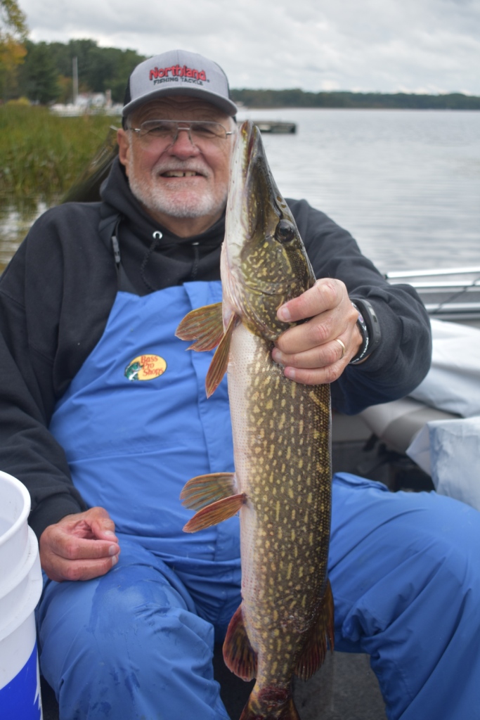 Dave R. with a good pike from Benoit Lake, September, 2017.