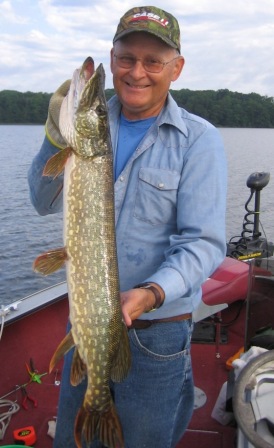 Dave caught this 28 inch pike on a spinner bait.  Released.  July, 2015, Benoit Lake.