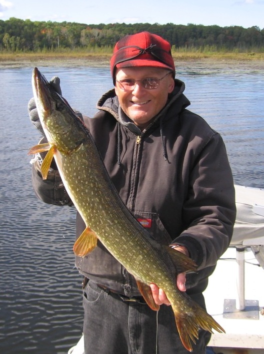 This 28.5 inch pike took a Bobbi Bait over weeds on a breezy and cool day.  September 23, 2012.