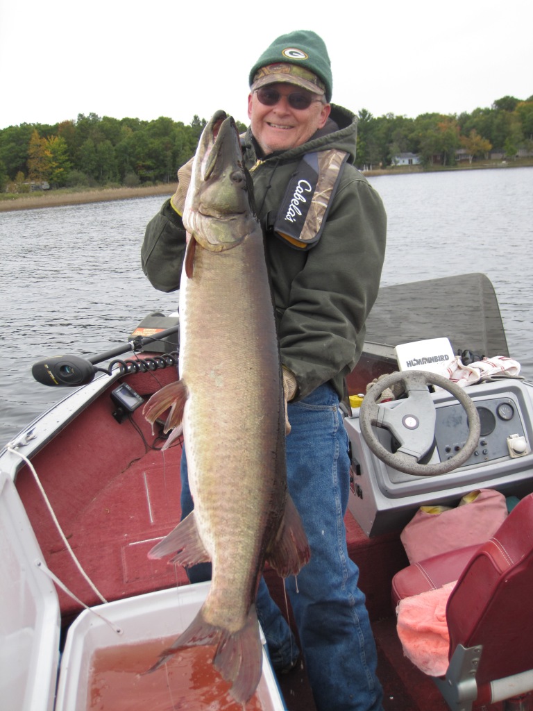Dave Caithamer with a 47-inch musky he caught and released on Benoit Lake, Burnett County, Wisconsin, September 29, 2018.
