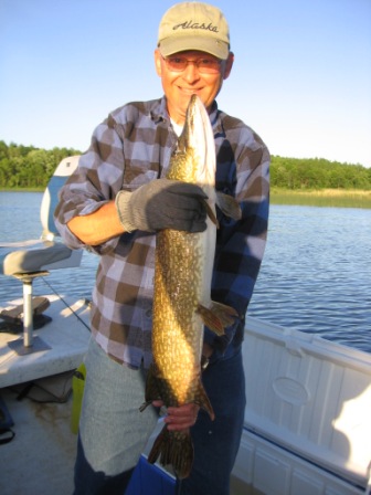 I caught this 31.5 inch northern pike using a surface plug.  I released the fish after photos.  June 12, 2012.