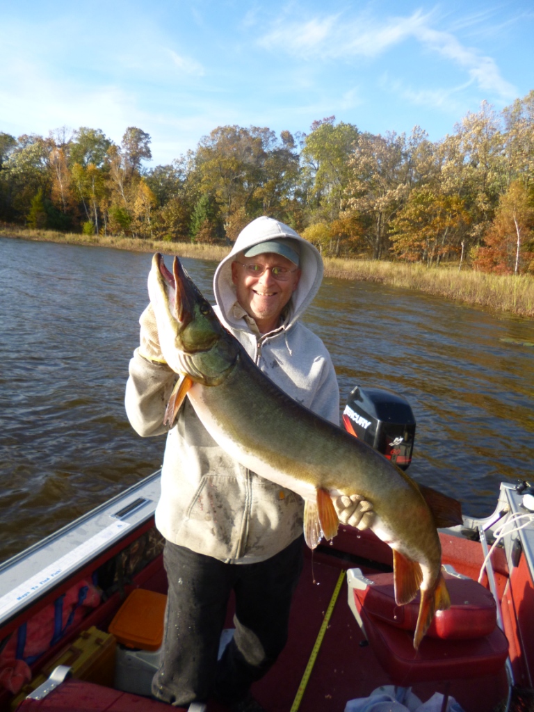 I caught and released this musky on Benoit Lake, October 2014.