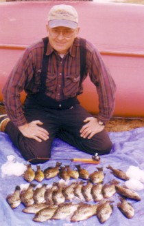 Some late-ice panfish I caught by the boat landing of Benoit, March 2005.