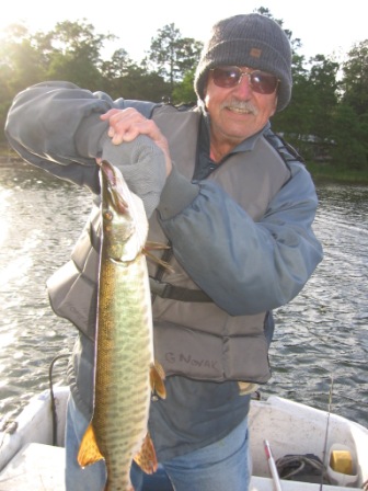 George N. caught his first musky on June 11, 2012.  The fish took a spoon in the weeds.