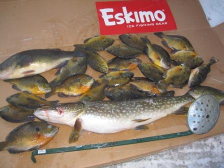 This catch made for a nice fish fry for us the next day. Jan 20, 2019.