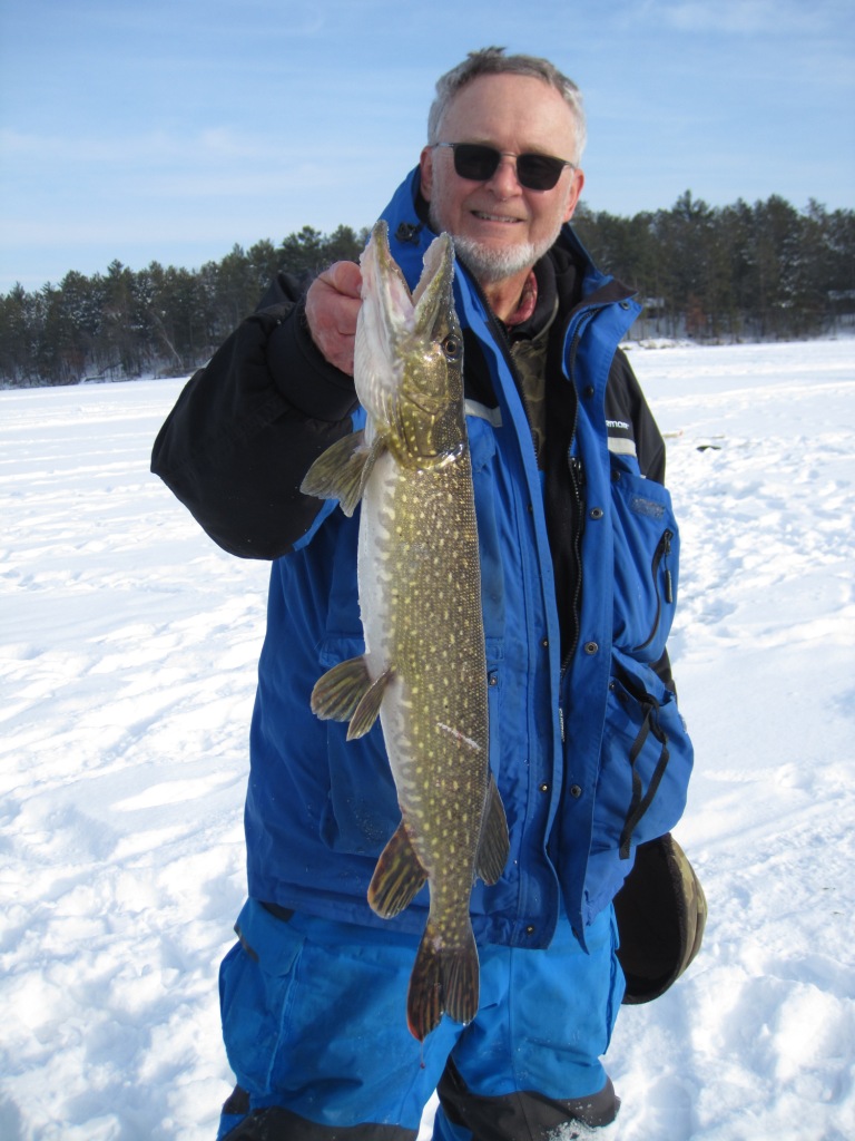 I caught and released this 26-inch pike on a nearby lake, January 14, 2023.