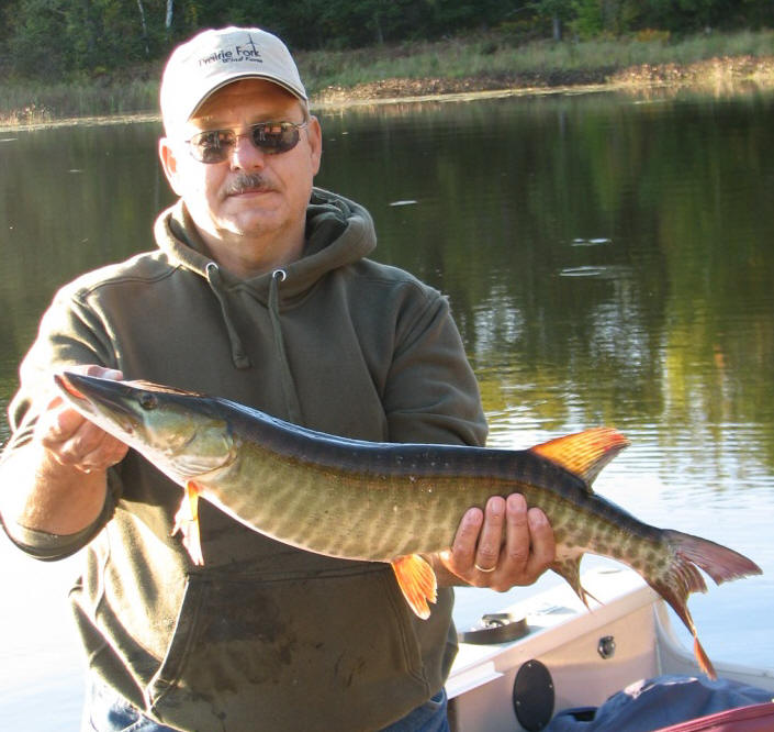 Martin was also using a Mepps when he caught this chunky 30 inch musky on Benoit.
