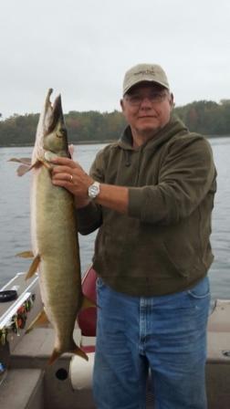 Martin V. caught and released this thick musky, Benoit Lake, September, 2017