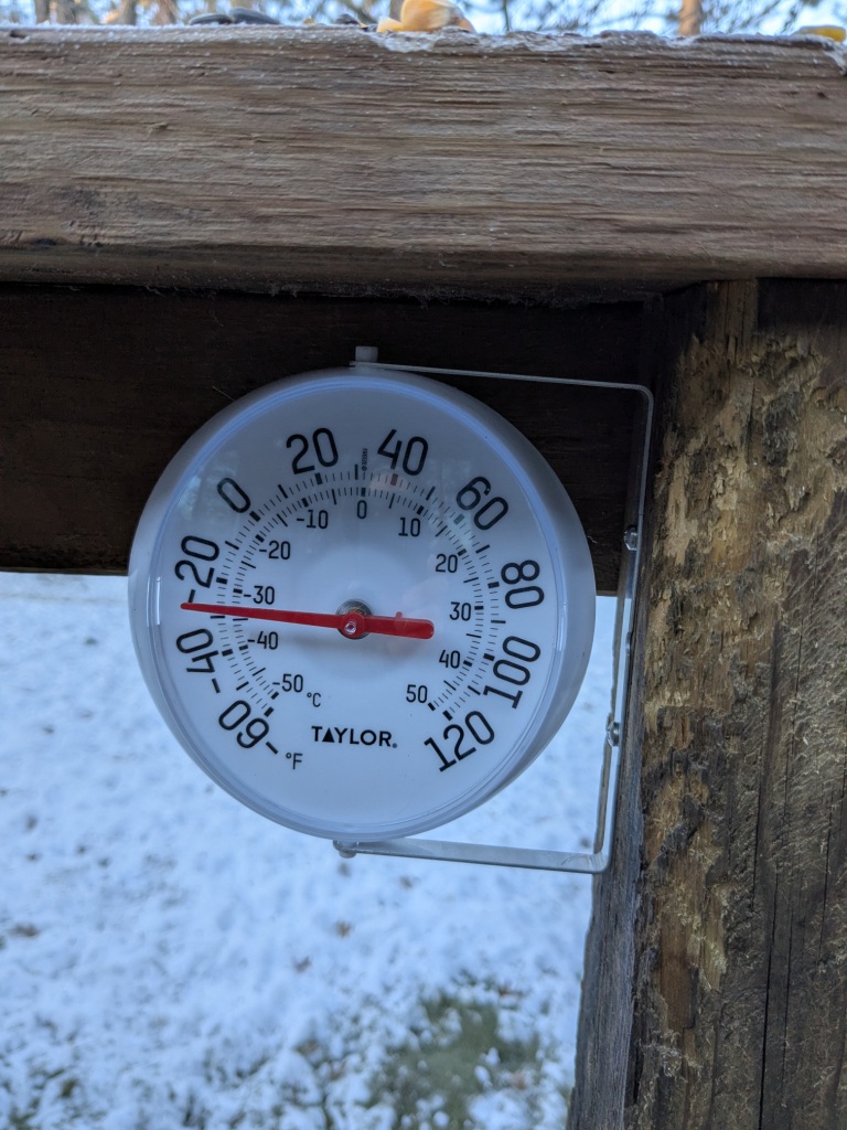 -30 degrees F on the morning of January 20, 2025.  Rainbow Bay Resort, near Spooner, WI.