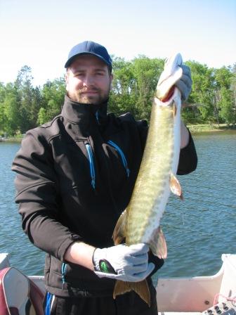 Tyson C. with a Benoit Lake musky that was caught and released.  It took a spinner in shallow water.  June 17, 2013.