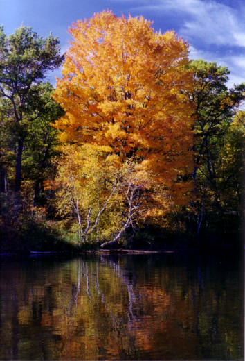 Autumn, south end of Benoit Lake, 2004.