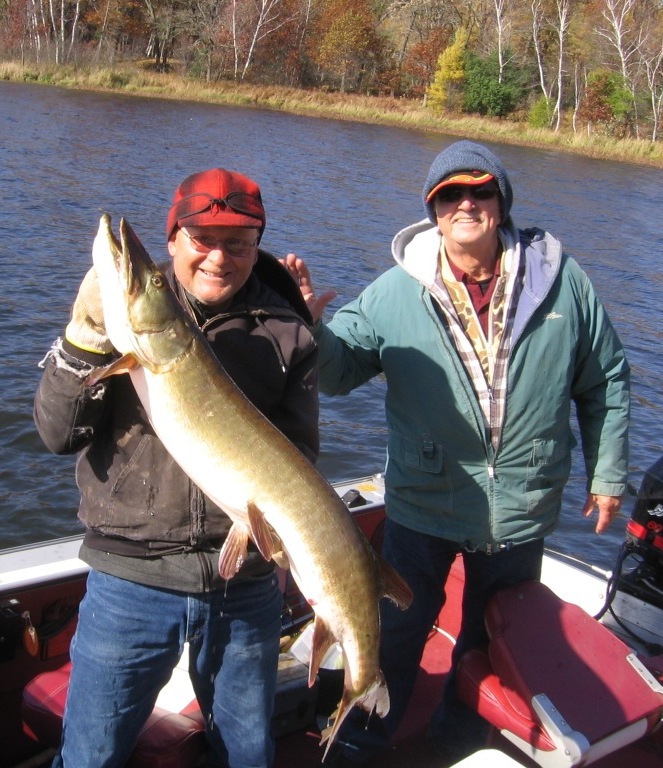 Dave C and George N with a 45.5 inch musky that they caught and released on Benoit Lake, October, 2015.