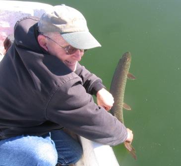 That's me preparing the 34 inch musky for release.  After about 5 minutes of swishing in the water it swam off nicely.
