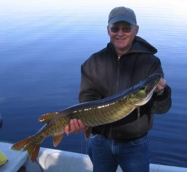 Dave C. with a 34 inch musky he caught and released on Benoit Lake, May 24, 2009.