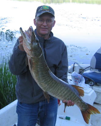 That's me, Dave C, with a 39.5 inch musky caught and released on Benoit Lake, June 21, 2007.  At the time, this was the resort-record.