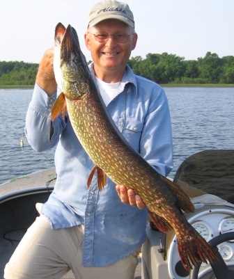 I caught this 32-inch pike at a nearby lake, July 2, 2012.  I was using a white spinner bait over weeds.