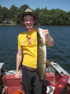 Jake C. caught and released this 29-inch pike on Benoit Lake, June, 2020.