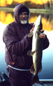 Dave R. has a knack for catching fish.  This beauty was caught in the fall on our lake.